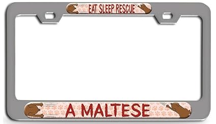 maltese dog rescue