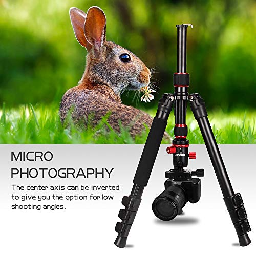 ZOMEi Camera Tripod Lightweight Travel Tripod Monopod 2 in 1 Portable Camera Tripod Stand with 360 Degree Ball Head, Remote Bluetooth and Phone Clip for Canon Nikon Sony GoPro DSLR SLR, Smartphone - Thumbnail 2