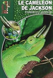 Le  caméléon de Jackson