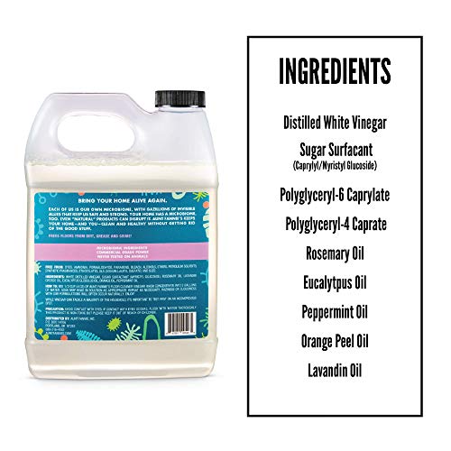 Aunt Fannie's Floor Cleaner Vinegar Wash (32 ounce jug); Natural Multisurface Floor Cleaner (Lavender)