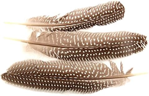 HLDIY 20Pcs DIY Accessories White Spots Brown Feathers Decorative