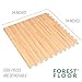 Forest Floor 3/8