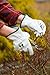 FirTree Brand Goatskin Utility Women and Mens Leather Gloves for Outside Yard, Gardening and Landscape Gloves. Size Chart pictured at Left.