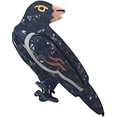 Funny Crow Hair Clips,Novelty Acetate Hair Clip,Bird Claw Clips for Women,Black