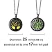 RoyAroma 2PCS Aromatherapy Essential Oil Diffuser Necklace Pendant Locket Jewelry, 24