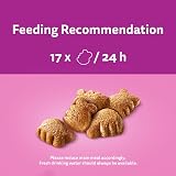 Whiskas Dentabites Cat Treats with Tasty Chicken 40 g Pack of 6 view 4