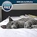 Premium Care Flea And Tick Collar For Cats | Prevents And Removes Fleas, Ticks, Lice And Mosquitos In 24 Hours | 8 Months Protection | 100% Natural Essential Oil Flea And Tick Prevention For Cats