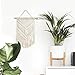 TIMEYARD 2 Pcs Macrame Wall Hanging Small Art Woven Tapestry Boho Chic Home Decor Apartment Dorm Room Decoration