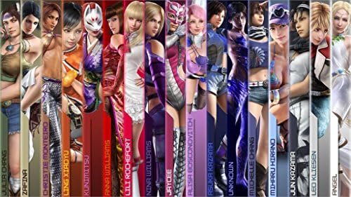 Ryan Beers Fighting Girls Game Tekken Games Home Decoration Canvas Poster