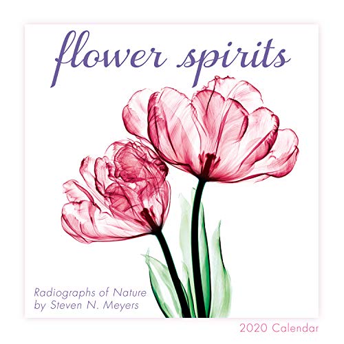 [R.e.a.d] Flower Spirits 2020 Calendar: Radiographs of Nature by Steven N. Meyers [P.P.T]