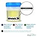 Sterile Urine Specimen Collection Cups with Temperature Strip and Lid, 90ml (6 Pack)