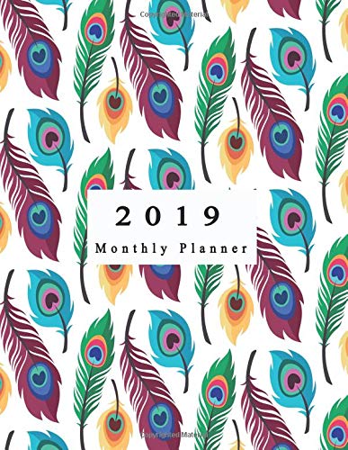 2019 Monthly Planner: Schedule Organizer Beautiful Peacock feather pattern collection with flat design Cover Monthly and Weekly Calendar To do List Top goal and Focus (Planner 2019)