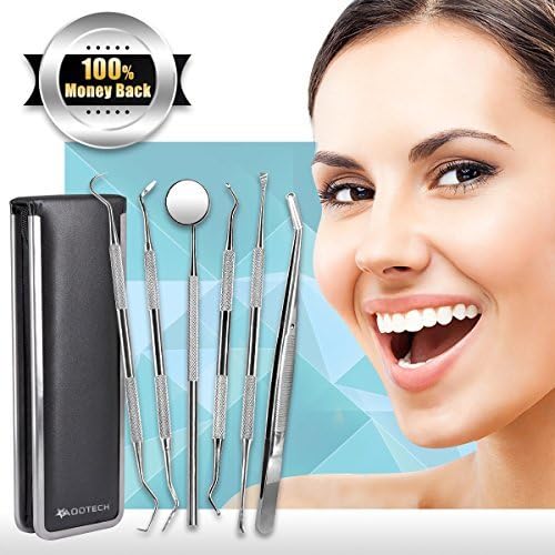 6 Pcs Dental Tools Kit, Dentist Picks Plaque Remover Scraper Set Best for Personal Use
