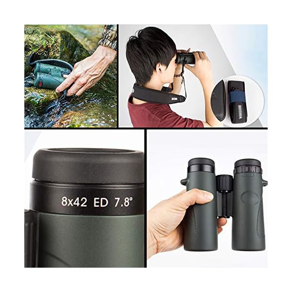 CJSWT Ferngläser für Erwachsene, 10x42 Compact HD Fernglas mit Low Light Night Vision für Vogelbeobachtung Jagd Wandern… – Bild 7