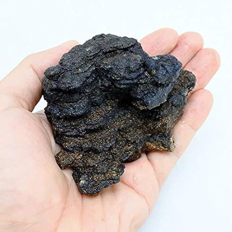 Amazon Co Jp コケのインテリア コケリウム テラリウム コケリウム 石 天然石 暗黒石s 形状お任せ ホーム キッチン