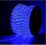 Grandey 2FT 50FT 65FT 98FT 150FT 295FT 2 Wire LED Rope Light Indoor Outdoor Home Holiday Valentines Party Restaurant Cafe Decor GRL-50-CW LED Rope Light(32FT, Blue)