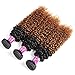 Alisfeel Ombre Kinky Curly Hair with Closure Grade 8A Brazilian Virgin Curly Hair Extensions with 4x4 Free Part Lace Closure Human Hair 1B/30# Color (18 20 22+16)