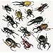 U. S. Toy Toy Bugs (Dozen), 1603, Black/White, 3