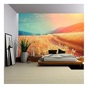 Fantastic Foggy River with Fresh Grass in The Sunlight. Dramatic Unusual Scene - Removable Wall Mural | Self-Adhesive Large Wallpaper - 66x96 inches