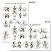 Palace Learning Skeletal System and Ligaments of the Joints Anatomical Poster Set - Laminated 2 Chart Set - Skeleton and Ligaments Anatomy - 18 x 24