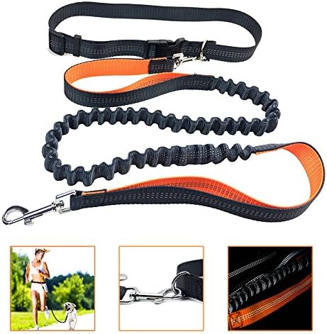 Qisehua Hands Free Dog Leash 5.4FT Long Nylon Orange for Running ,walking,Jogging ,Durable -Handle Shock Absorbing Bungee Leash and Adjustable Waist Belt