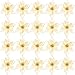 SATINIOR 20 Packs Christmas Faux Flowers Glitter Poinsettia Christmas Tree Ornament DIY Holiday Floral Arrangements (Gold)