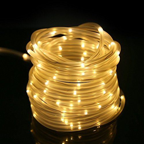 image for Lighting EVER LE 33ft 120 LED Dimmable Rope Lights, 2-Pack Warm White,