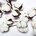 VGIA 16 Inch Real Cotton Wreath Farmhouse Decor Christmas Vintage Wreath - Adjustable Stems