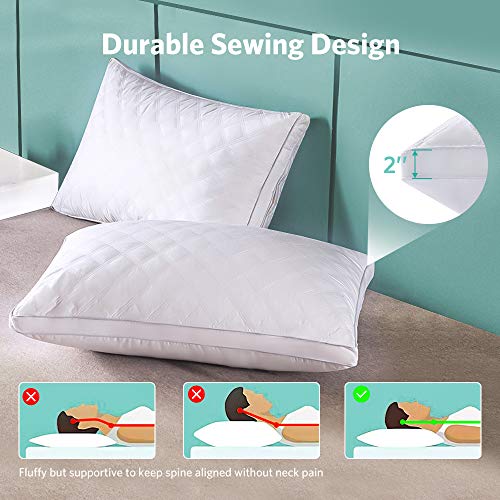 Hotel Pillows for Sleeping 2 Pack Queen, Goose Down Alternative Pillows for Sleeping Side
