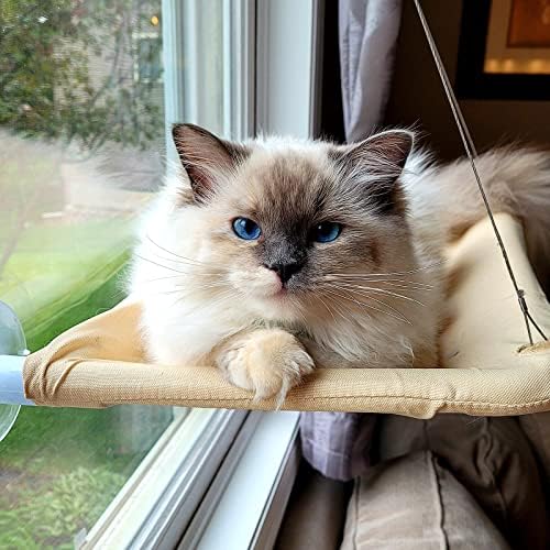 NOYAL Cat Window Perch Seat Hammock Strong Suction Cups Holds Up to