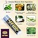 Amish Origins SPF 15 Medicated Lip Doc Balm - All Natural Ingredients, Deep Moisturizing Potent Formula for Chapped and Cracked Lips, All Refreshing Essential Oils, 3 Pack