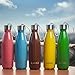 MAKI Vacuum Insulated Stainless Steel Water Bottle - 36 Hours Cold! Carry Strap Cap - 17 Ounce (Grass Green, 17oz)
