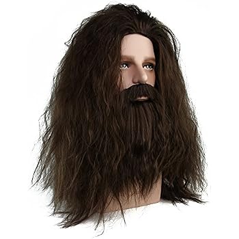 Amazon.com: CrazyCatCos Rubeus Hagrid Cosplay Wig Long 