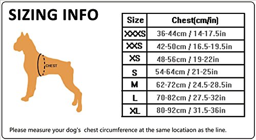 Pettom No-pull Dog Harness Soft Padded Mesh Pet Harness-3M Reflective for Small, Medium & Large Dogs