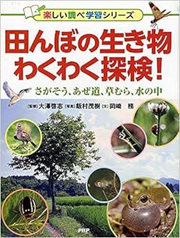 田んぼの生き物わくわく探検 さがそう あぜ道 草むら 水の中 楽しい調べ学習シリーズ 大澤 啓志 岡崎 務 文 飯村 茂樹 本 通販 Amazon