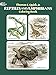 Reptiles and Amphibians Coloring Book