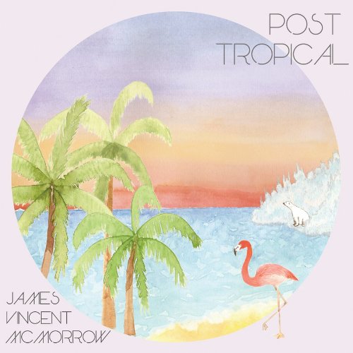 James Vincent Mcmorrow - Post Tropical [lp] - Zortam Music