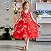 NNJXD Girl Dress Kids Ruffles Lace Party Wedding Dresses Size 5-6 Years Red(130)