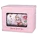 Broadway Gifts Silver and Pink Fairy Ballerina Swan Lake Music Jewelry Box