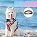 WINSEE Dog Harness No Pull, Pet Harnesses with Dog Collar, Adjustable Reflective Oxford Outdoor Vest, Front/Back Leash Clips for Small, Medium, Large, Extra Large Dogs, Easy Control Handle for Walking