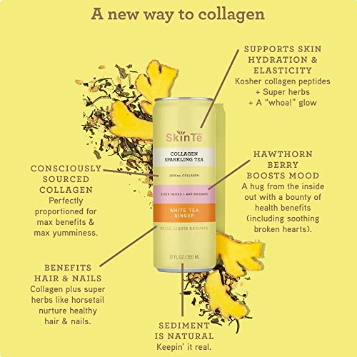Collagen Sparkling Tea by SKINTE Organic White Tea with Ginger 12
