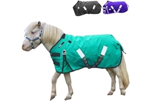 Derby Originals Nordic-Tough 1200D Heavyweight Mini Horse & Pony Turnout Blanket – Waterproof, Breathable, 300g Insulation, 210T Lining, Reflective, 2-Year Warranty (Turquoise, 36")