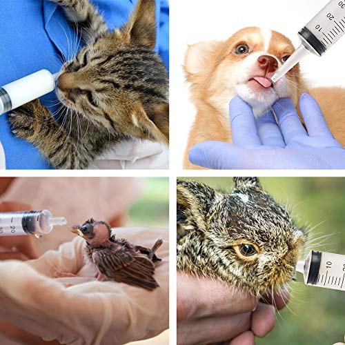 HAKACC 60 ml Disposable Syringe,Feeding Syringe Sterile Package,50 ml to 60 ml Medical Grade Catheter Tip (1 Pack)