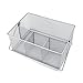 KitchenPlus Condiment and Silverware Caddy, Silver