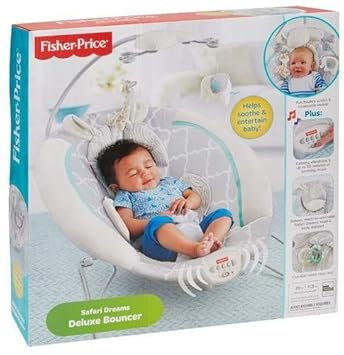 electric princess carriage