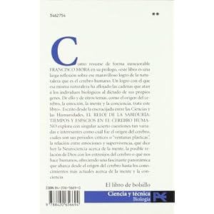 El reloj de la sabiduria / The Clock of Wisdom: Tiempos Y Espacios En El Cerebro Humano (Spanish Edition)