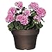 Classic Home and Garden Capello Planter, 11.25