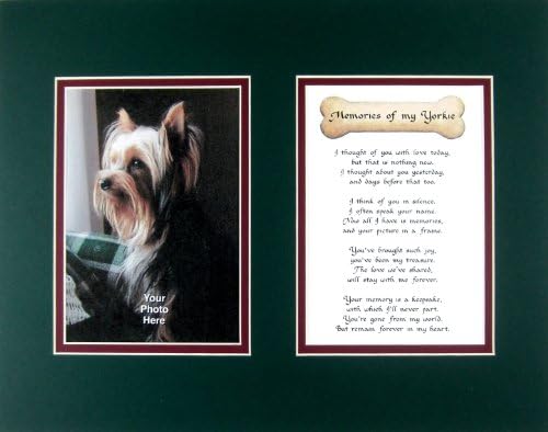yorkie pet memorial