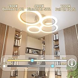 OUQI Modern LED Ceiling Light Dimmable Remote