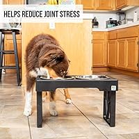 Pet Zone Designer Diner Adjustable Elevated Pet Feeder Raised Dog